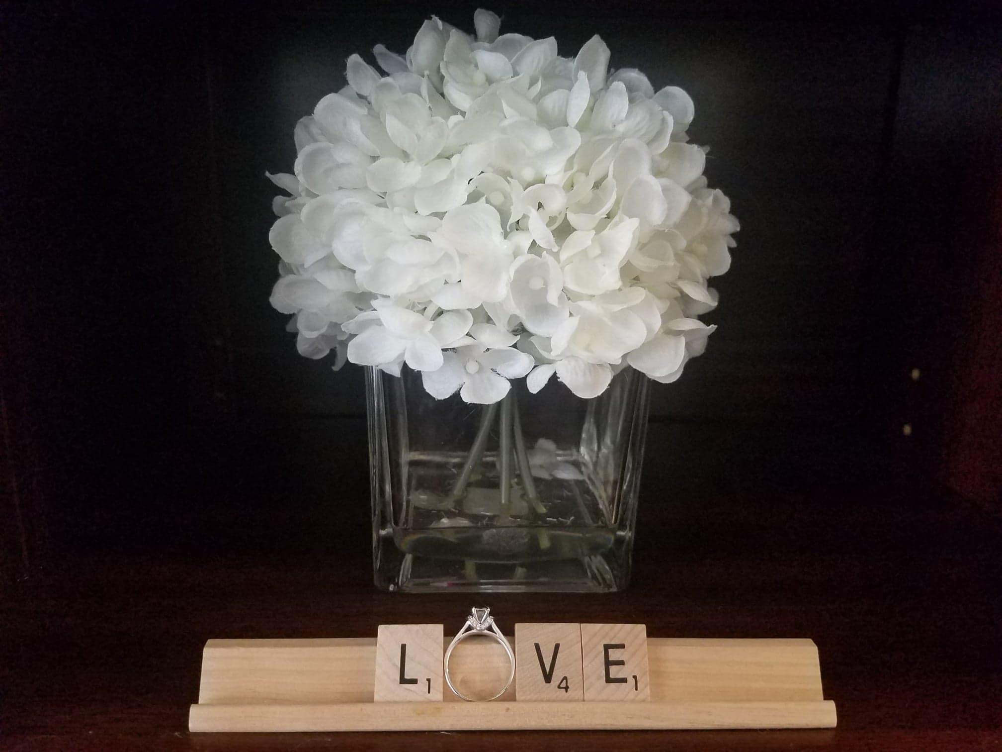 The Wedding Website of Mirna Elisa Martinez and Michael Seth Thompson