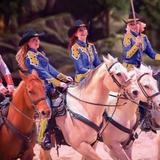 Dolly Parton's Stampede