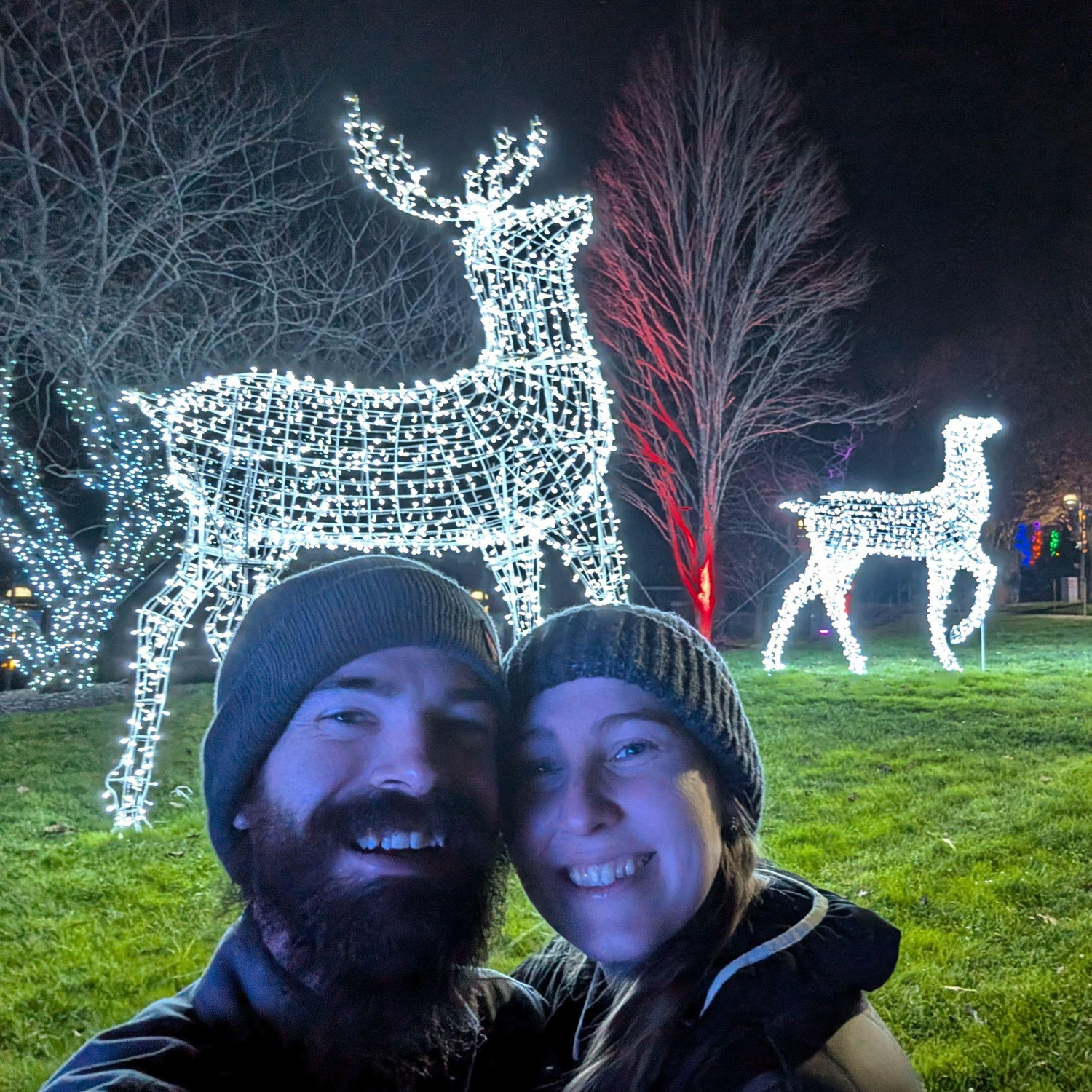 Amazing holiday lights at the NC Arboretum to kick off the holiday season! -Dec 2024