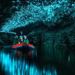 Waitomo Worm Cave Tour