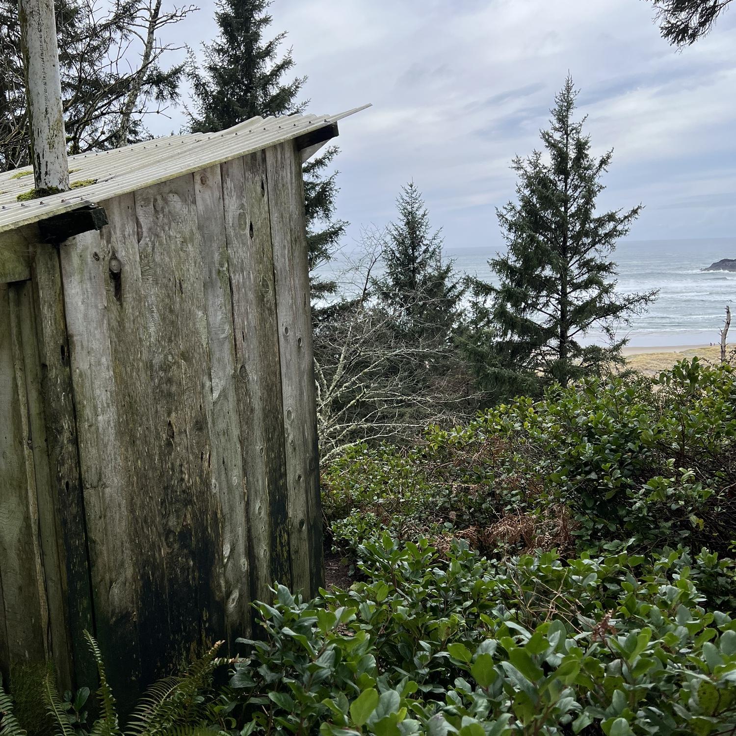 Alpine cabin composting toilet. A poo with a view.