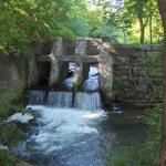 Charlie Major Nature Trail