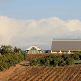 Fallbrook Winery