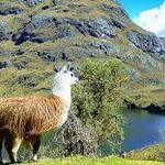 Parque Nacional Cajas