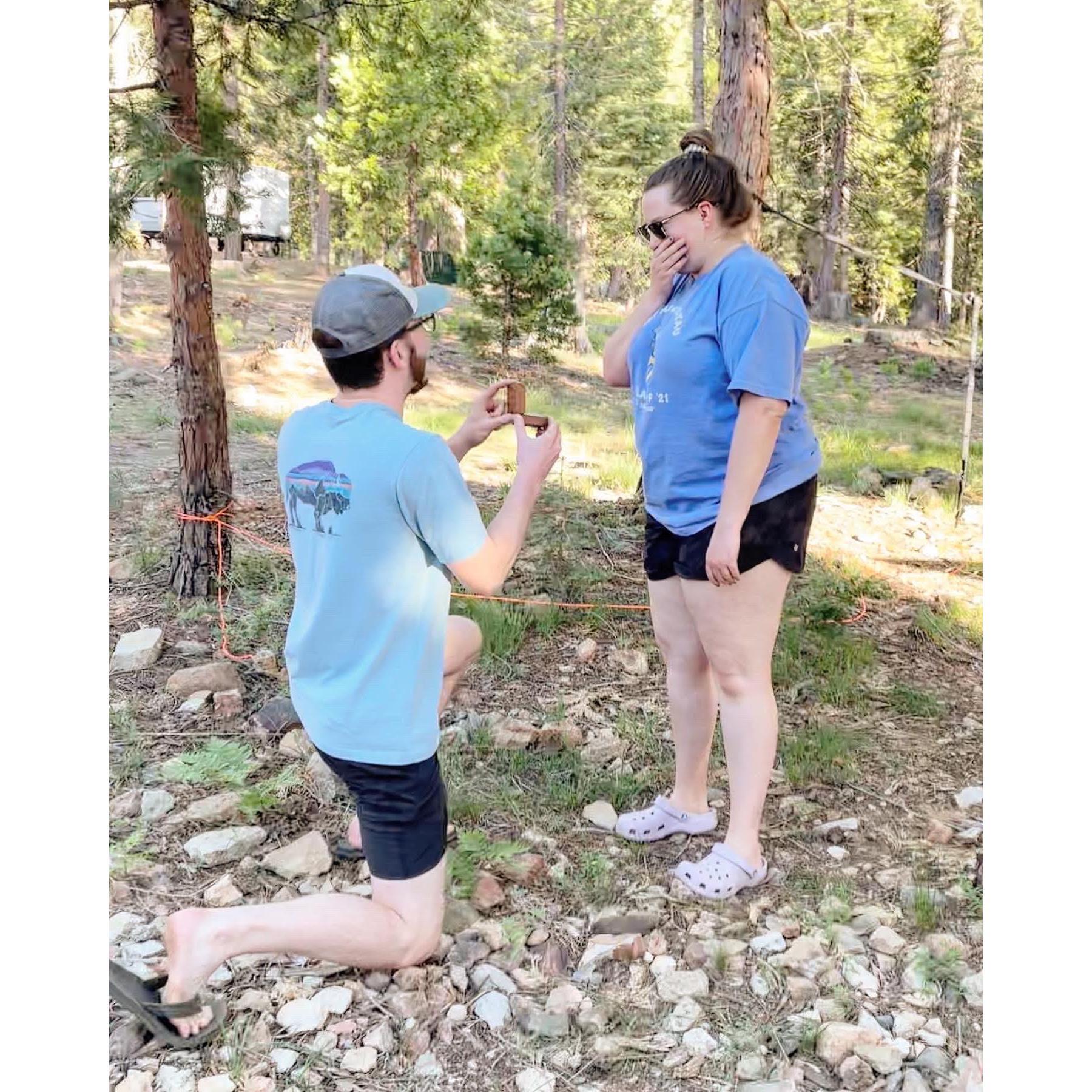 The proposal.