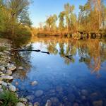 Floating or Playing in the Boise River