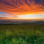Pisgah National Forest