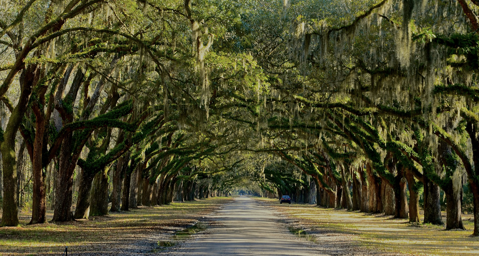 The Wedding Website of Morgan Henry and Clay Wardell
