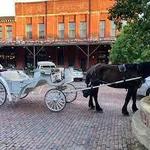 Magical Journey's Carriage Service