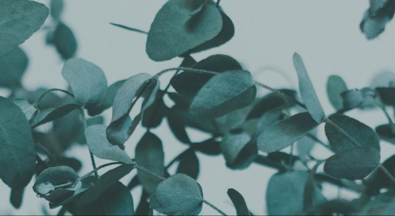 Footer image
