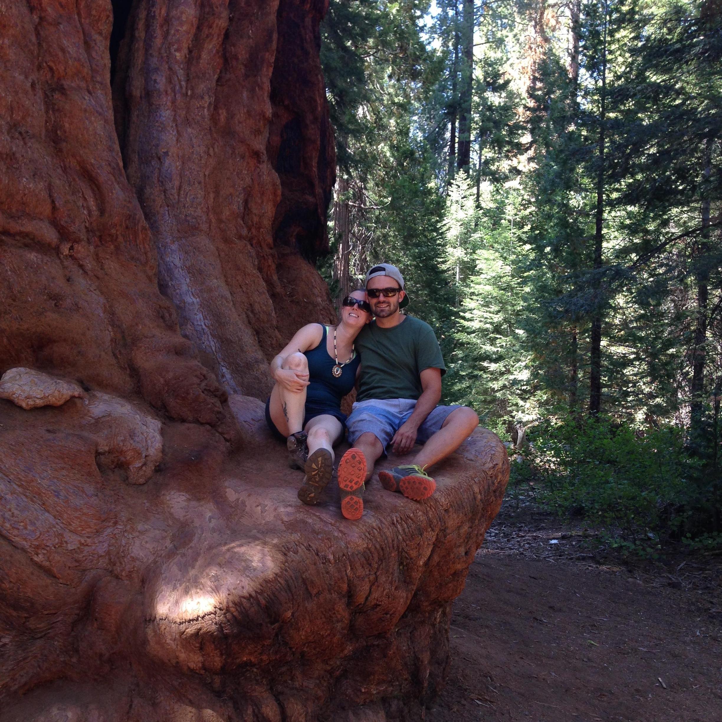 Relaxing on this ancient tree, good vibes in nature!