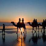 Cabo Adventures - Camels for the Kids