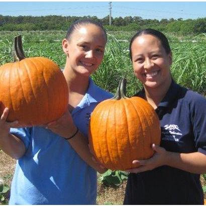 Post SABR pumpkin picking!