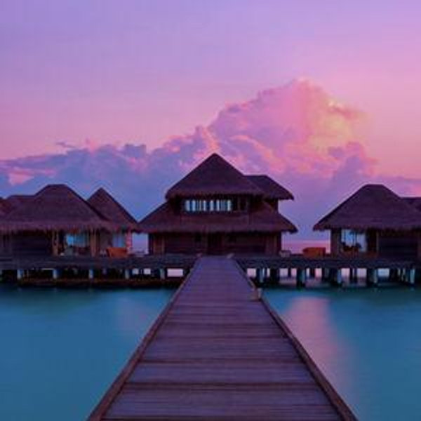 Honeymoon Fund