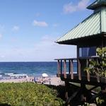Red Reef Park