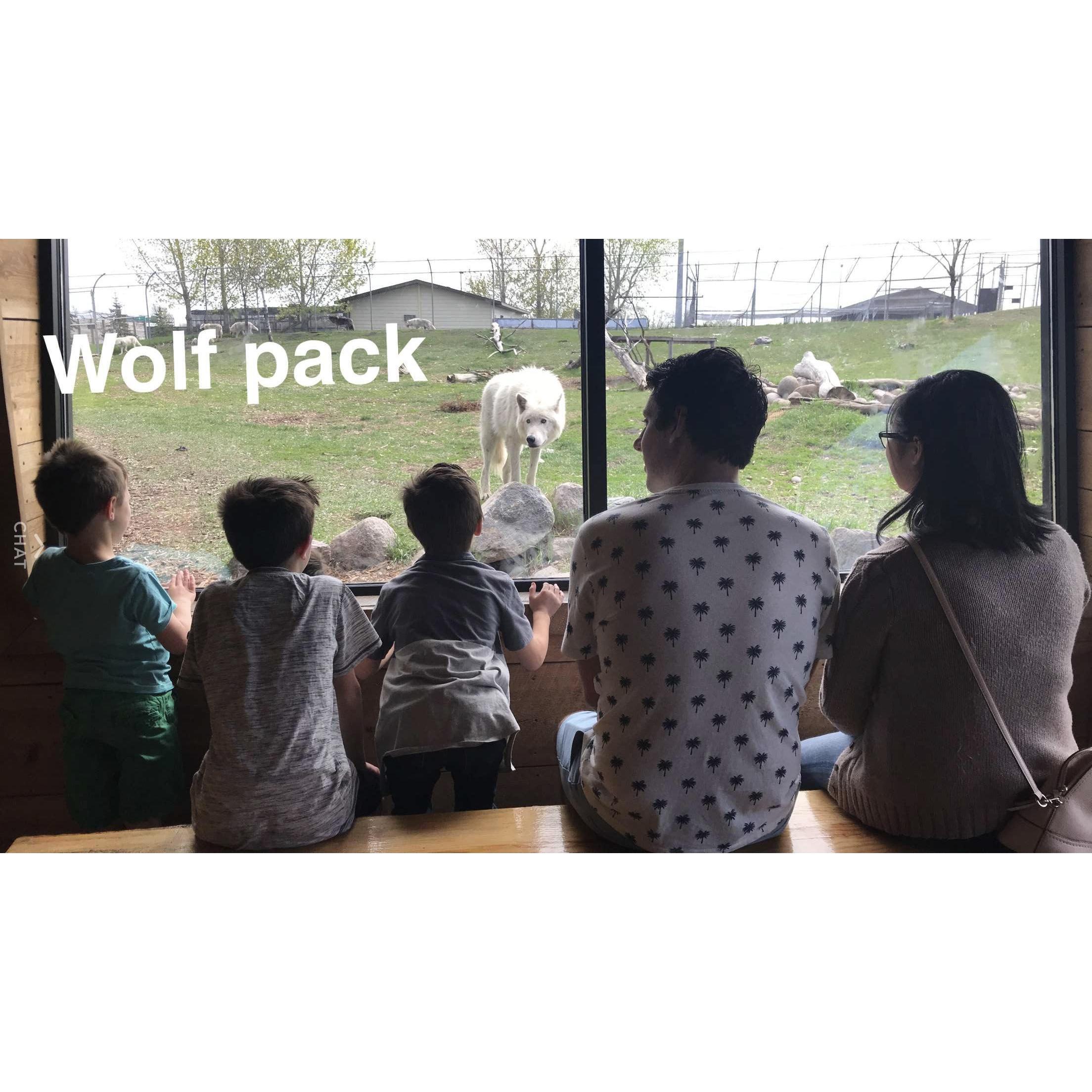 A day at the zoo (Mother's Day 2018)