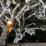 Holly Jolly Light Tour