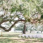Agapae Oaks Weddings