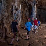 Cenotes