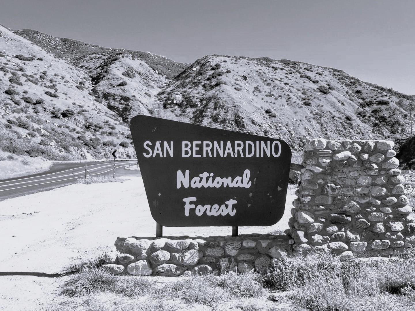 The Wedding Website of Ashley Williamson and Abraham Barton