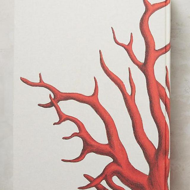 Cabinet of Natural Curiosities