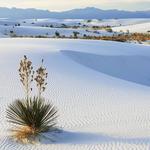 White Sands National Park