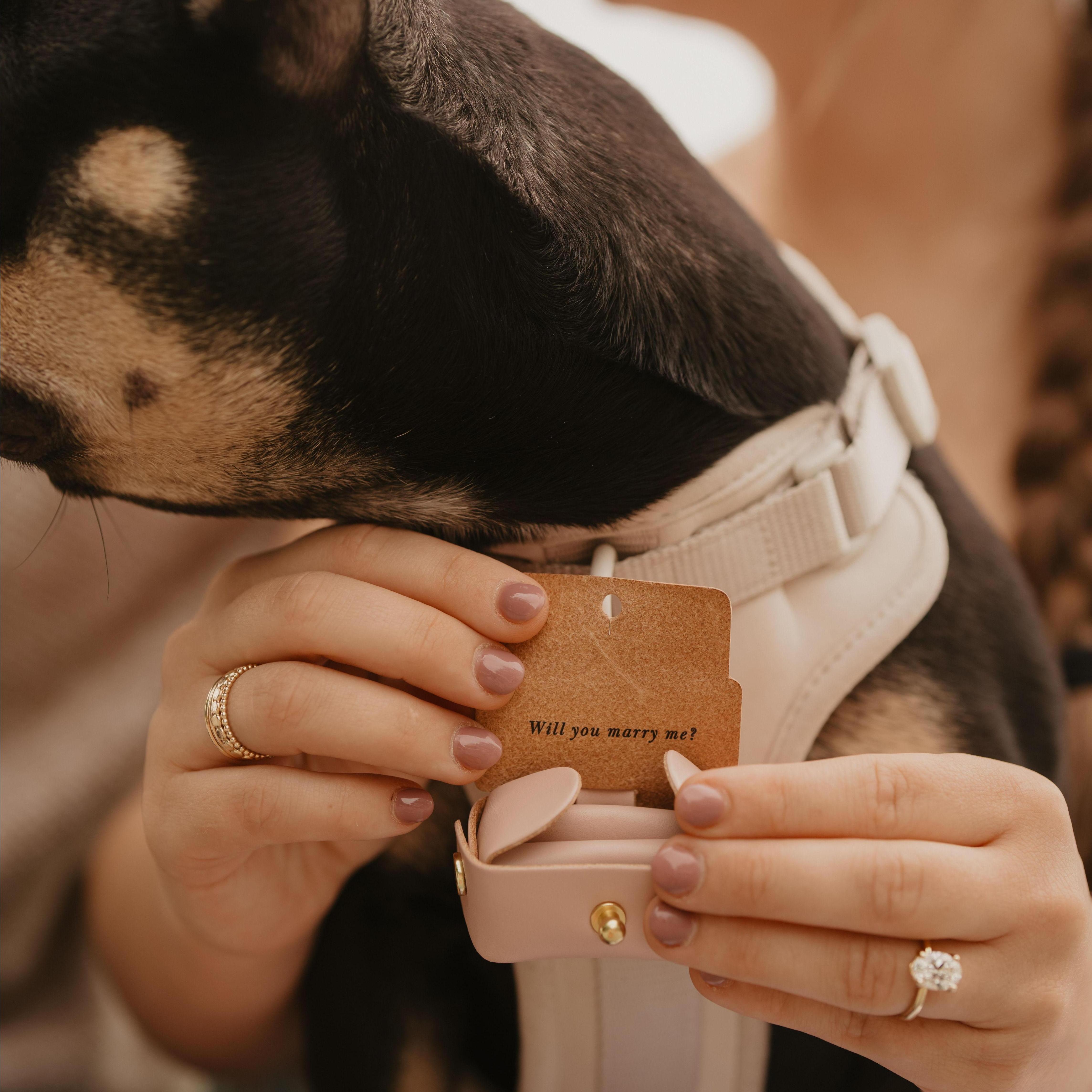 Jarrett and Julie (Jarrett's Mom) found this incredible custom ring box on Etsy to have Reese hold the ring at the proposal!