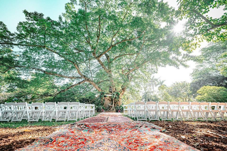 The Wedding Website of Elizabeth Caceres and Jonathan Giraldo