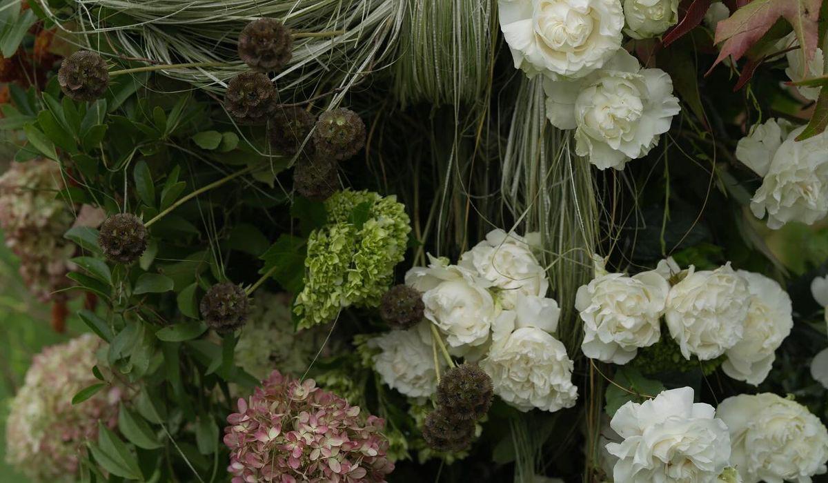 The Wedding Website of Payten Tignor and Coy Carnes