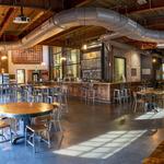 Coppertail Brewing Co.