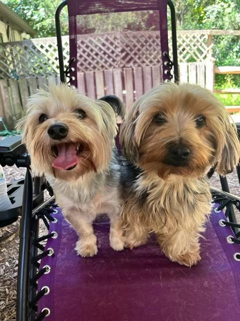 e38bd70a-c45d-42af-8aef-a77b668cd4b9