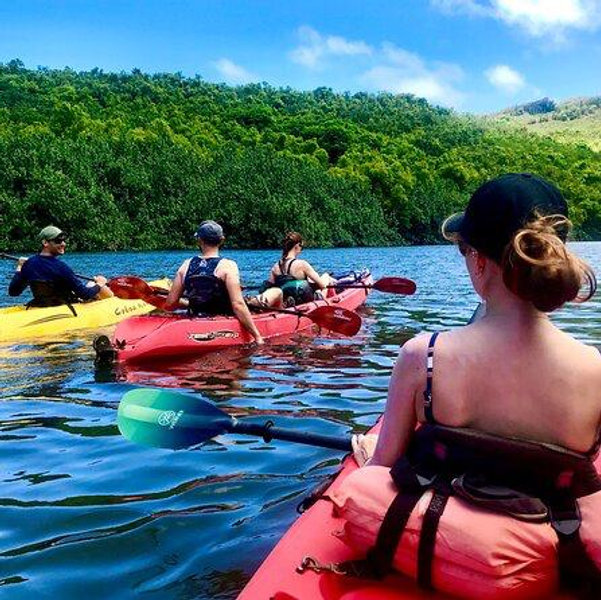 Wailua River Kayak Tour to Secret Falls