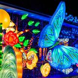 Grand Rapids Lantern Festival