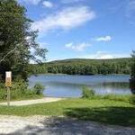 Beartown State Forest