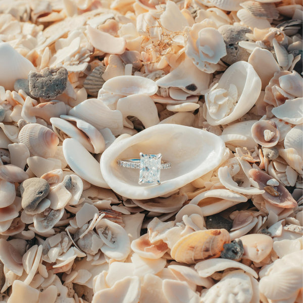 Wedding Fund