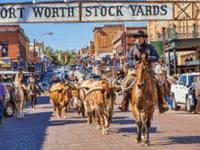 Fort Worth Stockyards Station