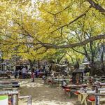 Katy Trail Ice House