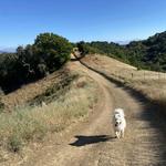 Briones Regional Park