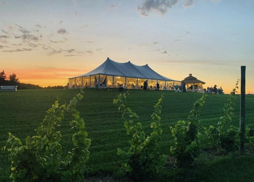 The Wedding Website of Samantha Donohue and Reed Shea