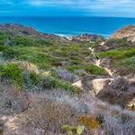 Torrey Pines State Reserve