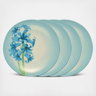 Colorwave Accent Plate, Set of 4