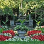 ACTIVITY - Kingwood Center Gardens