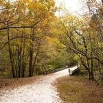 William B. Umstead State Park