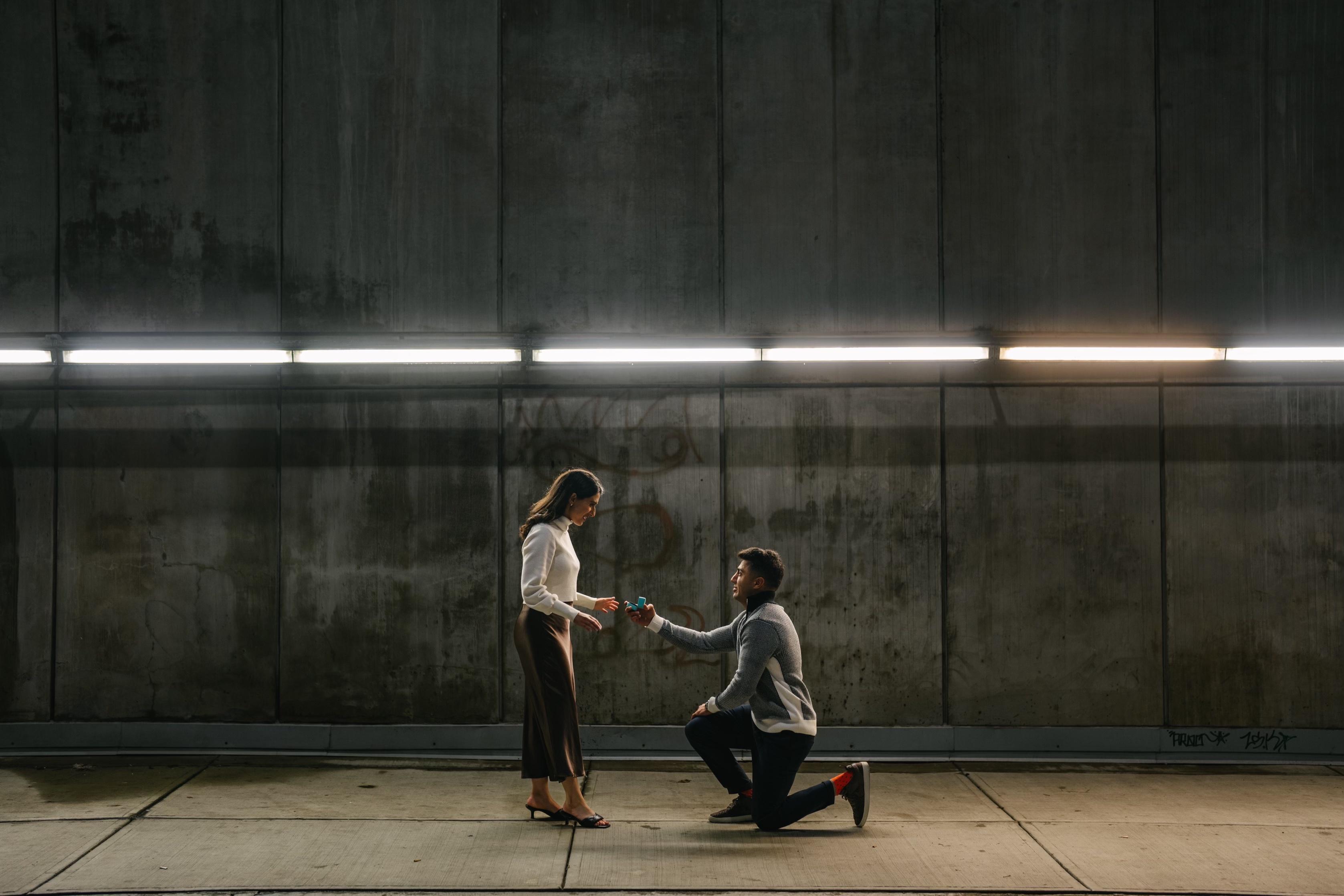 The Wedding Website of Ali Fazal and Shaina Dhalla