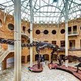 Fernbank Museum | 3D Theater | Forest