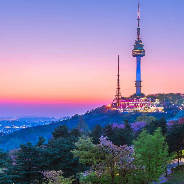 N Seoul Tower and Cable Car Tickets