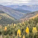 Colville National Forest