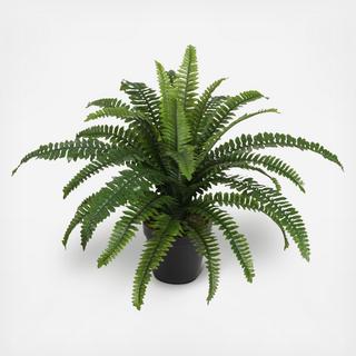 Potted Faux Boston Fern Plant