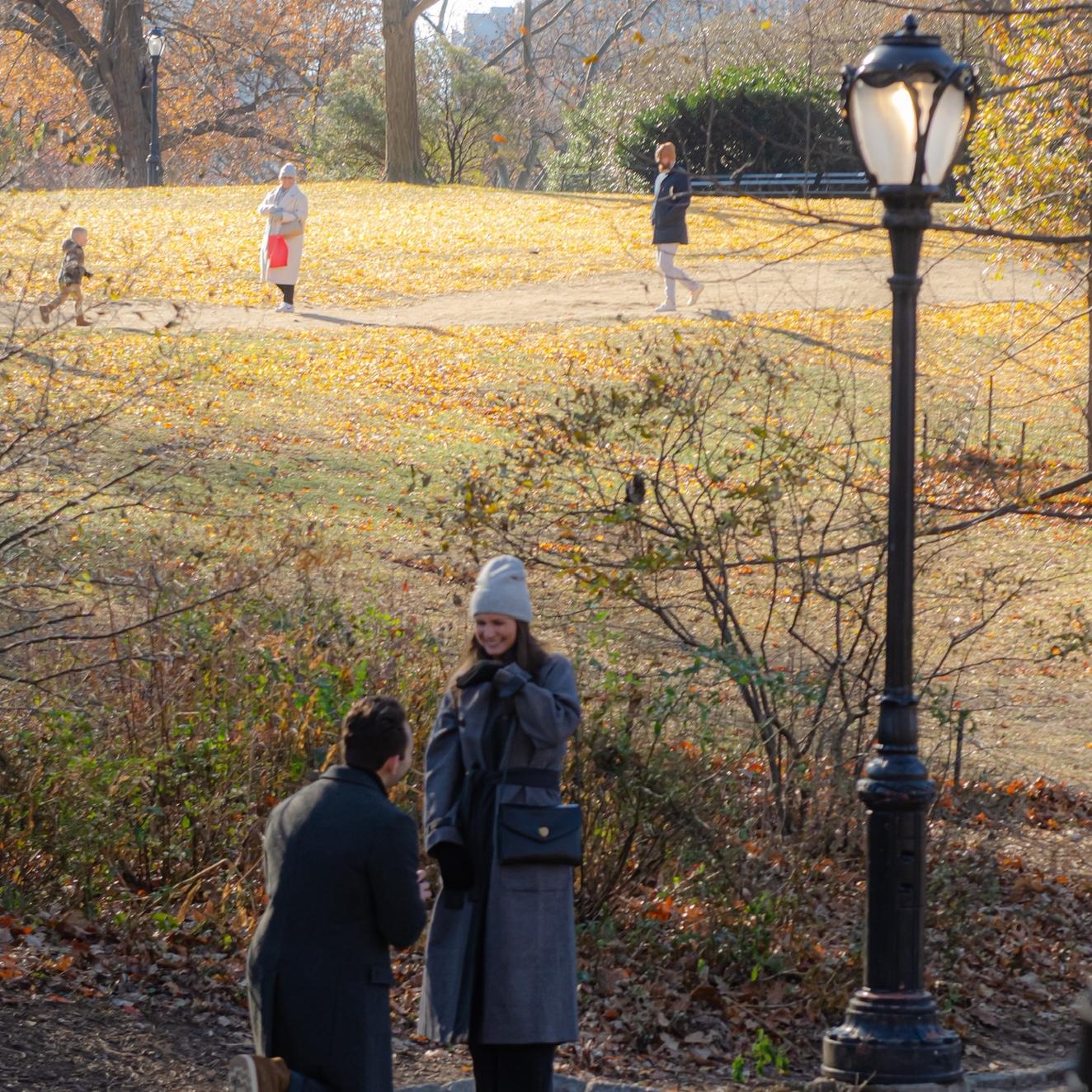 Anthony proposing in Central Park, December 2024.