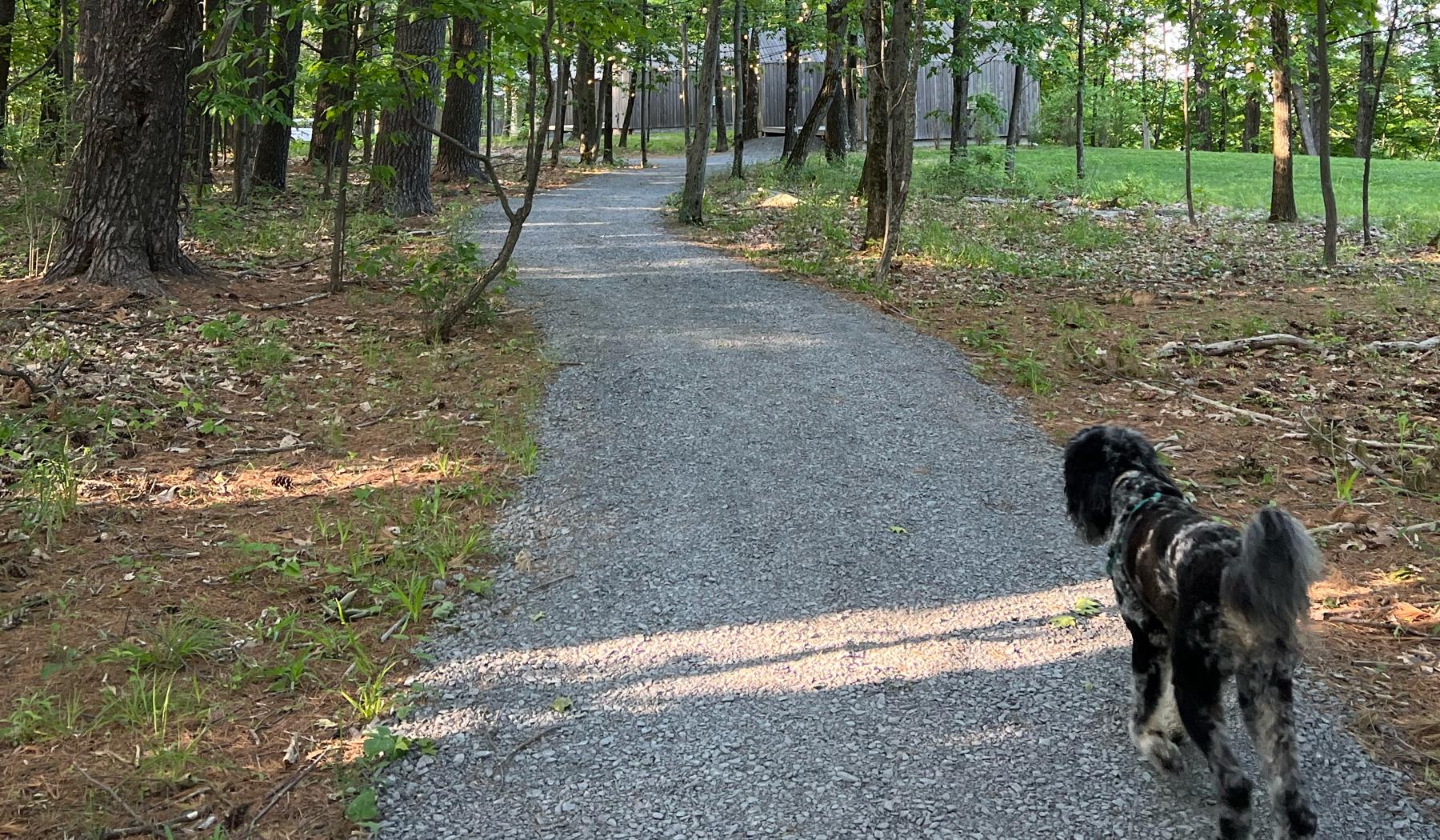 The Wedding Website of Jayne Whitman and Ryan Hoff